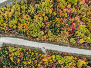 La région de Charlevoix, Québec, vue du ciel - Forêt d'automne - Côté Hublot