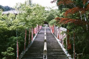 Le complexe bouddhiste Daisho-in sur l'île de Miyajima