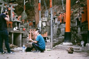 Japonais nourrissant des dizaines de chats aux détours du sanctuaire shintô Fushimi Inari-taisha