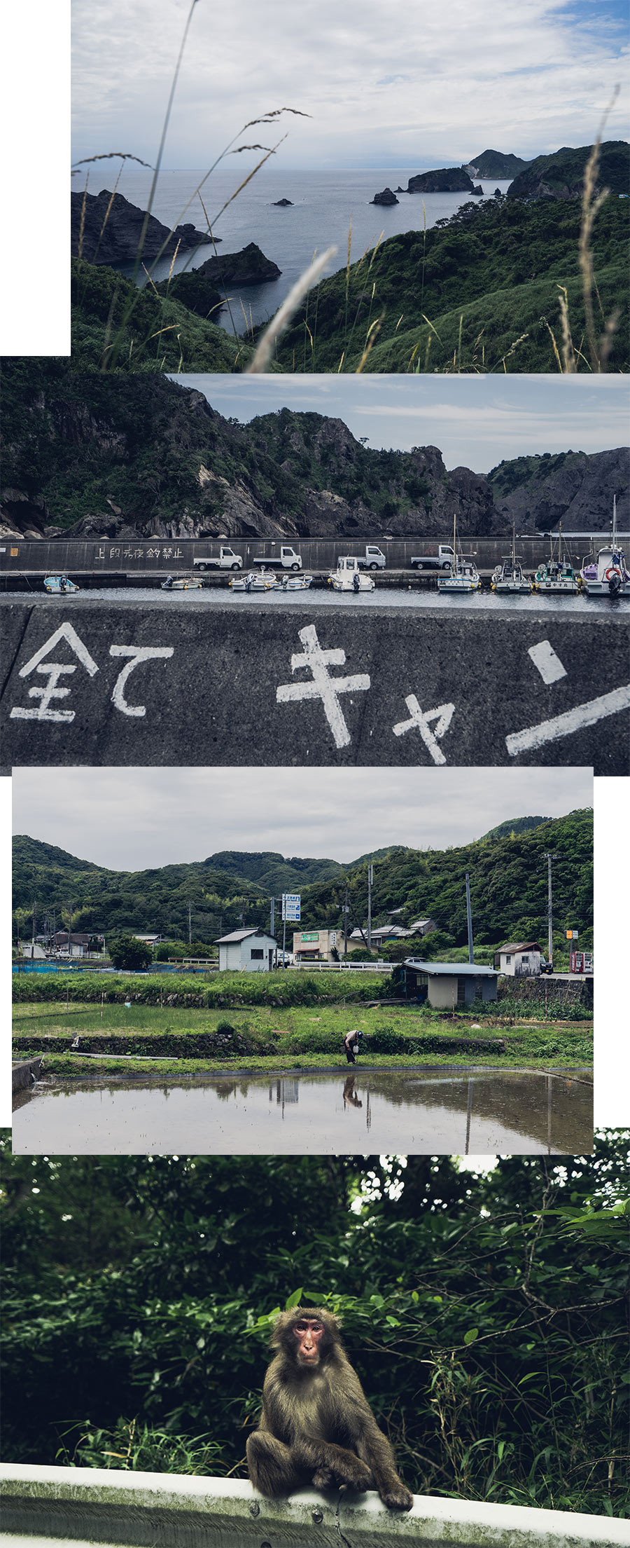 Une promenade à travers la Péninsule d'Izu (Japon), par Côté Hublot